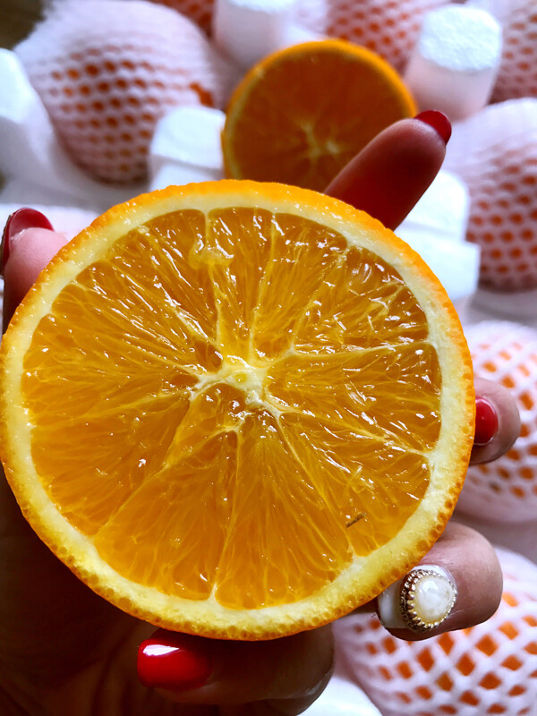 金堂脐橙新鲜水果鲜果