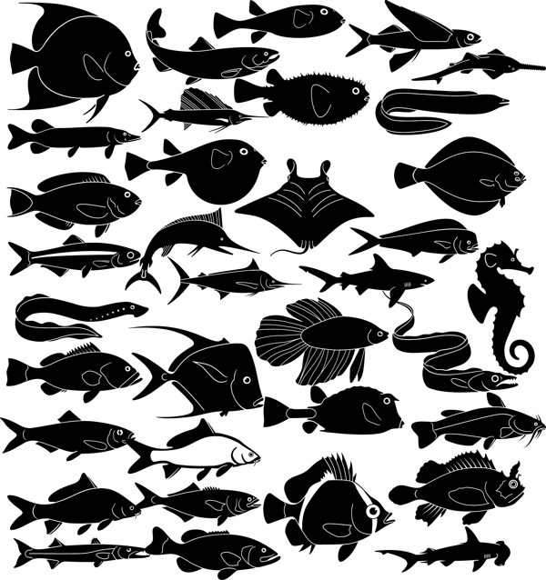 海洋动物剪影图片