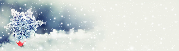 唯美雪花banner背景