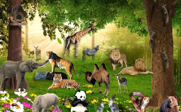 森林动物图片