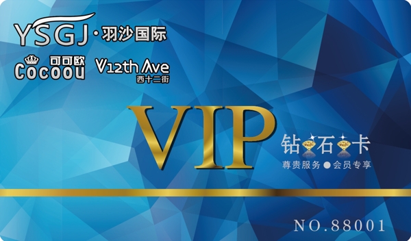 高檔VIP卡圖片
