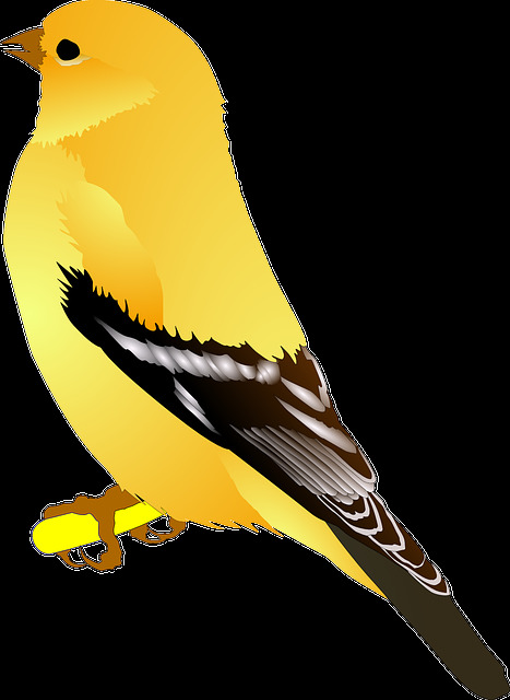 可爱懵懂黄色小鸟装饰元素