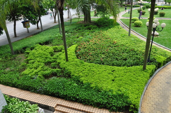 校園景觀圖片