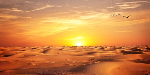 黄色夕阳沙漠背景素材