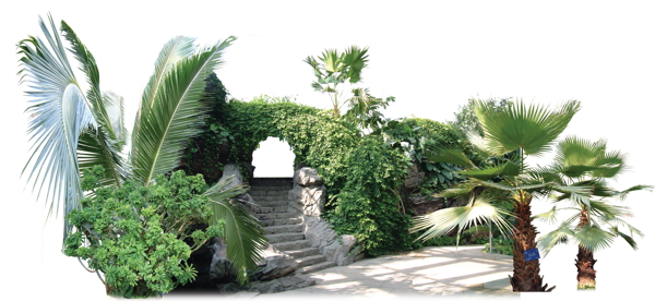 景觀環(huán)境021背景素材