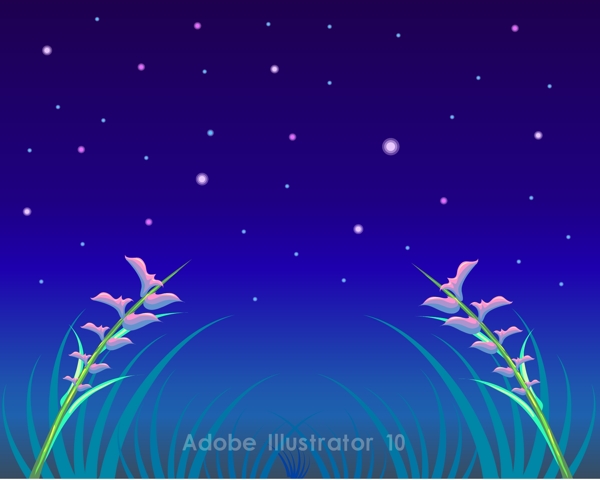 星空植物花卉
