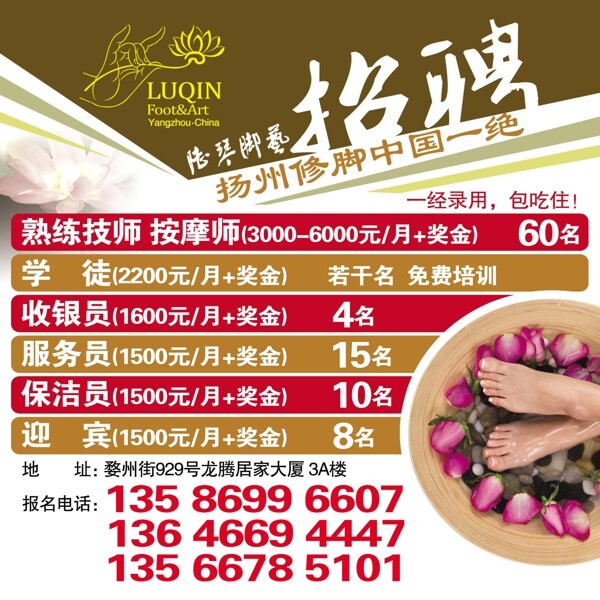 陸琴腳藝招聘圖片