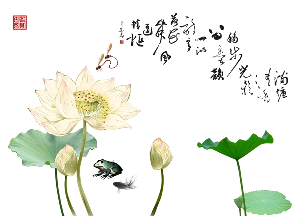 荷花圖
