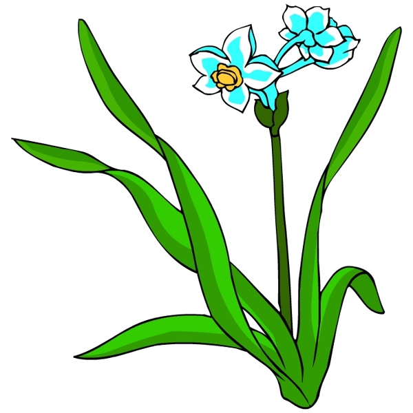 花卉古典插畫