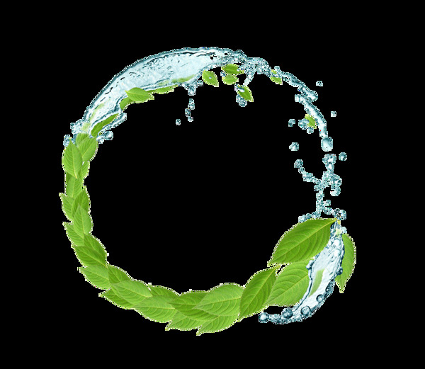 清新綠葉水環(huán)png元素