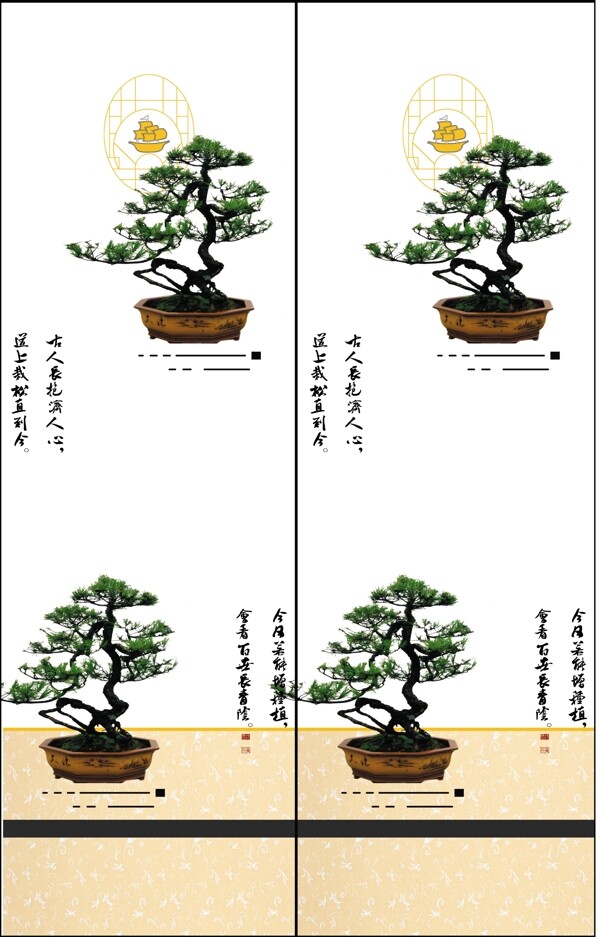 鶴骨松姿圖片
