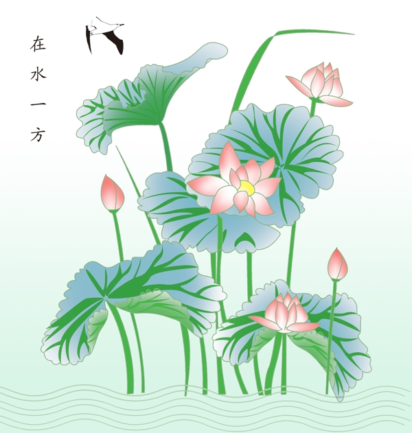 夏日荷花在水一方圖片