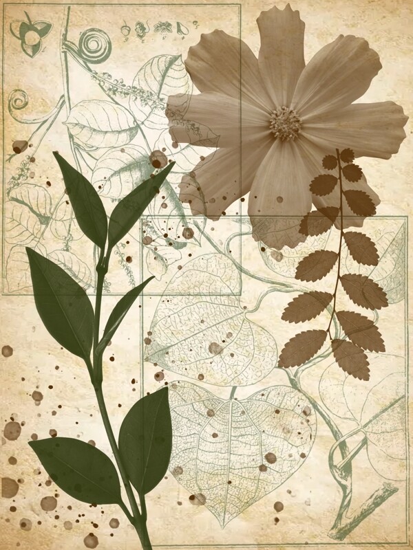 复古风邮戳植物花卉牛皮纸纹理装饰画