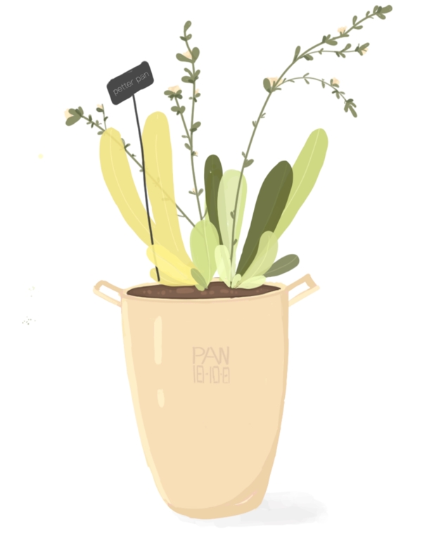 小清新植物手绘插画