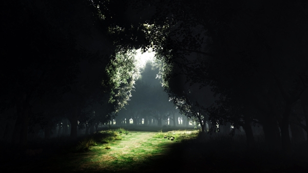 森林中透出的光束图片