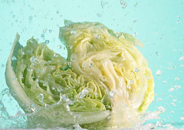 洗菜圖片