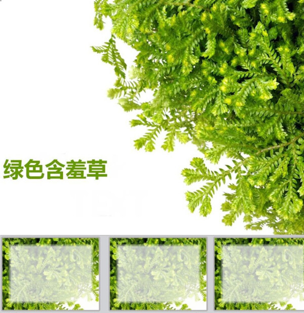 綠色PPT
