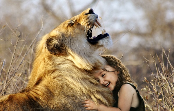 狮子与人