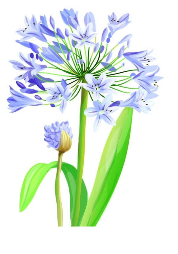 花