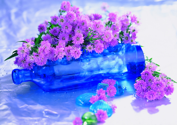 花藝擺設(shè)花鮮花花卉