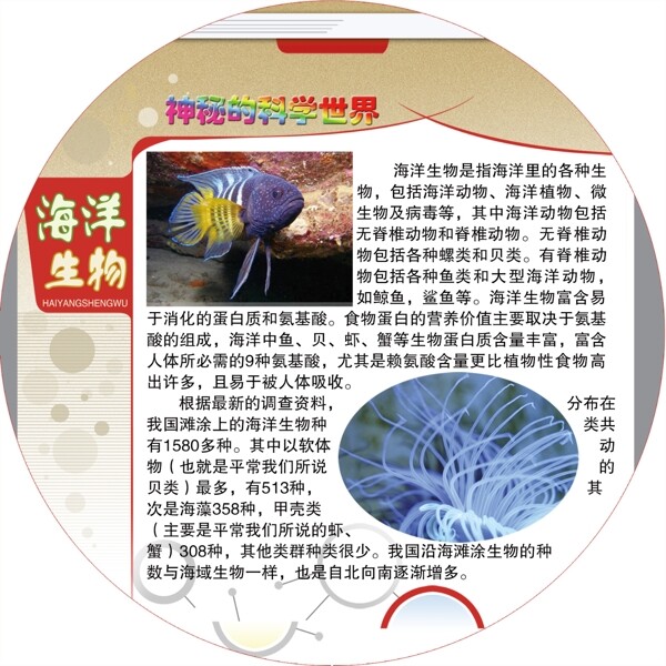 海洋生物