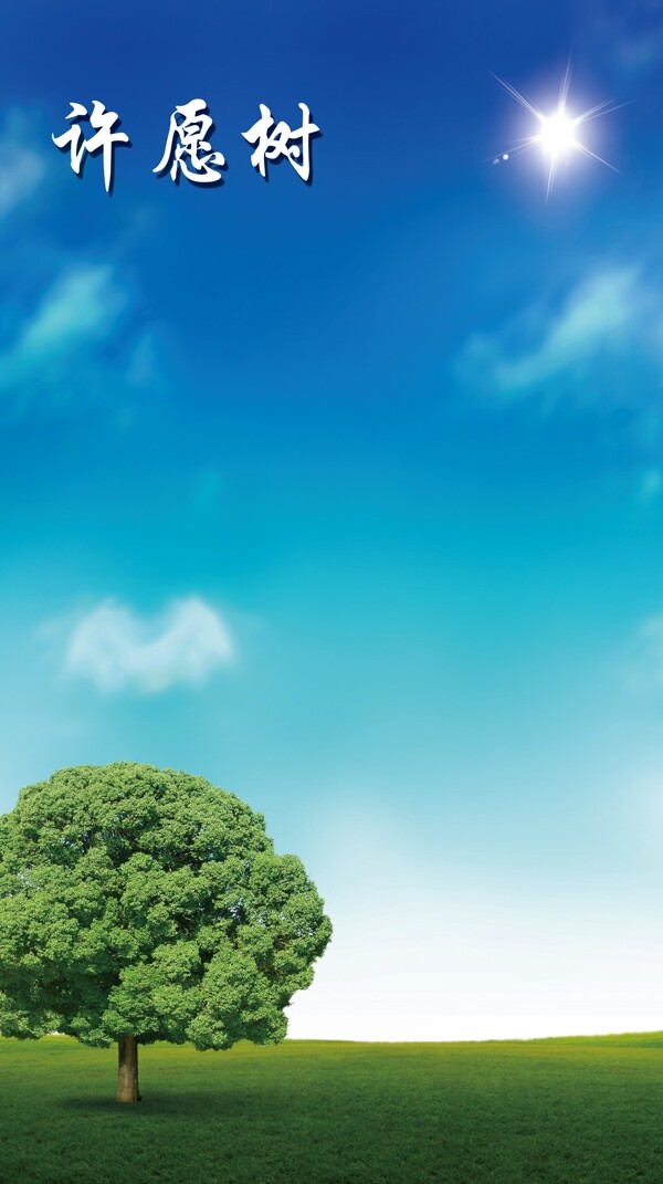 許愿樹(shù)圖片