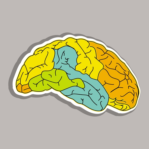 丰富多彩的人类大脑的灰色背景摘要医学概念