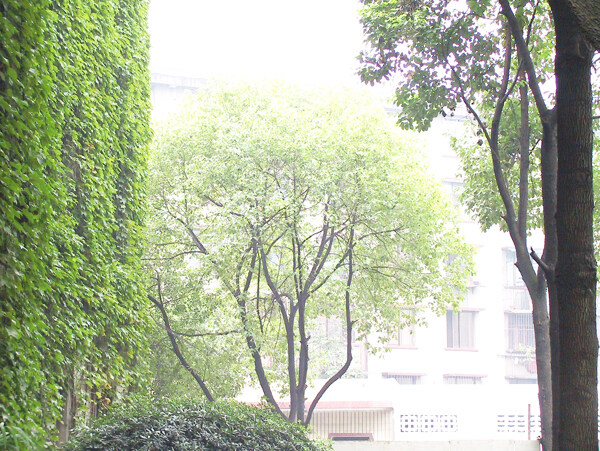 家居客廳模型