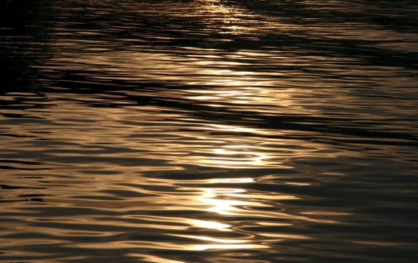 波光粼粼太阳照射水面水波