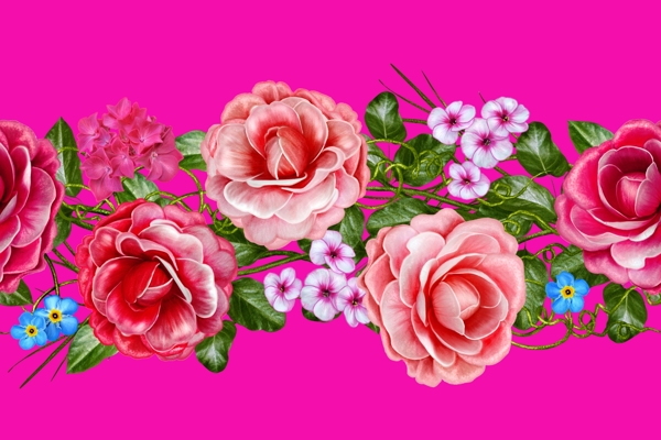 花手繪畫(huà)玫瑰花設(shè)計(jì)數(shù)碼