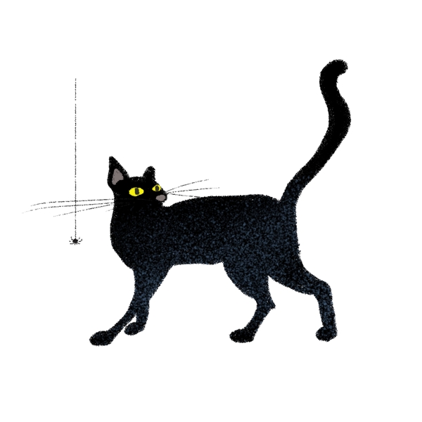 原创手绘万圣节创意黑猫手账商用贴图元素