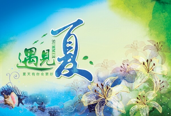 遇見(jiàn)夏圖片