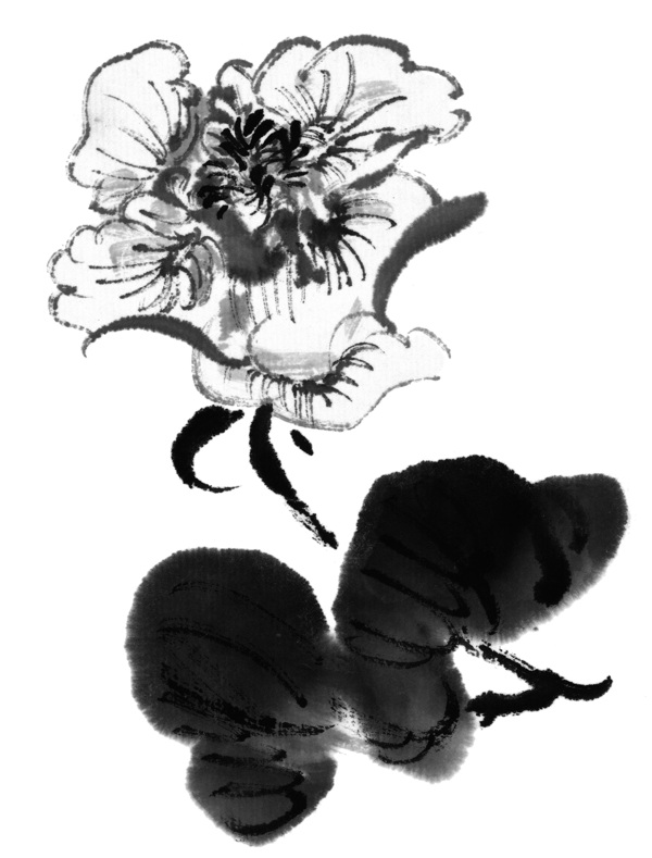 國(guó)畫花