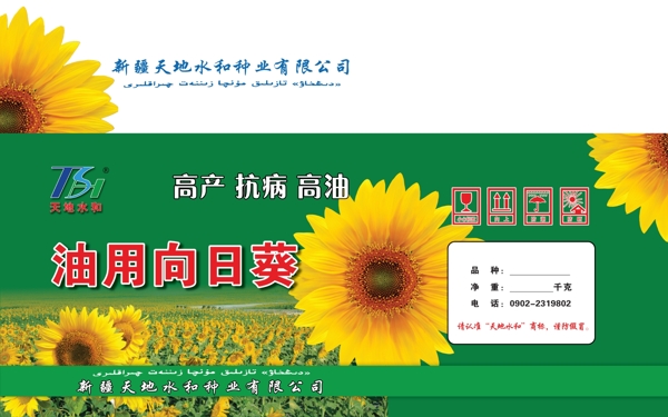 向日葵箱子圖片