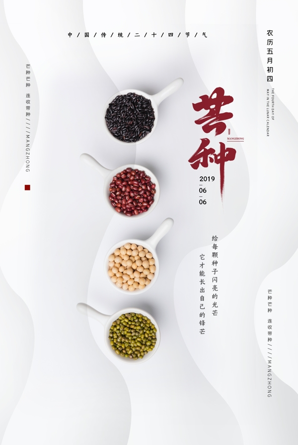 芒種傳統(tǒng)簡潔節(jié)氣海報展板