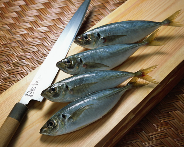 海鲜美食肉鱼鱼头火锅鱼火锅鱼类