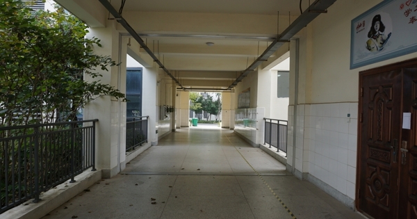 校园走廊图片