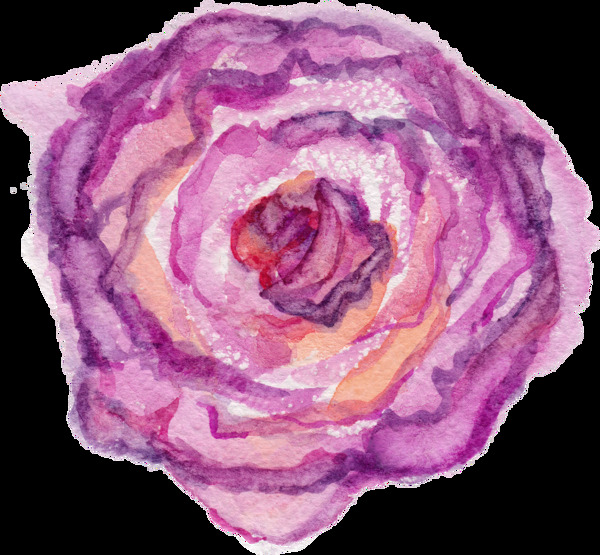 绽放美丽紫色花卉透明装饰素材