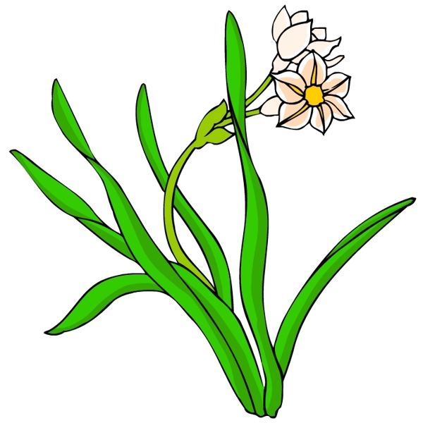 花卉古典插畫