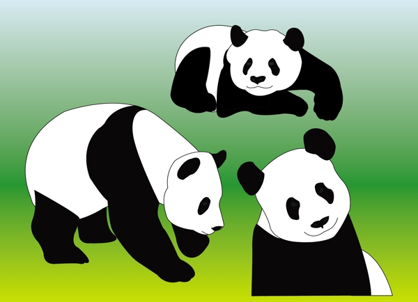 熊貓向量