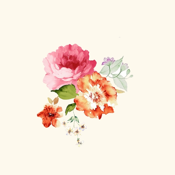 位圖psd植物花朵免費(fèi)素材