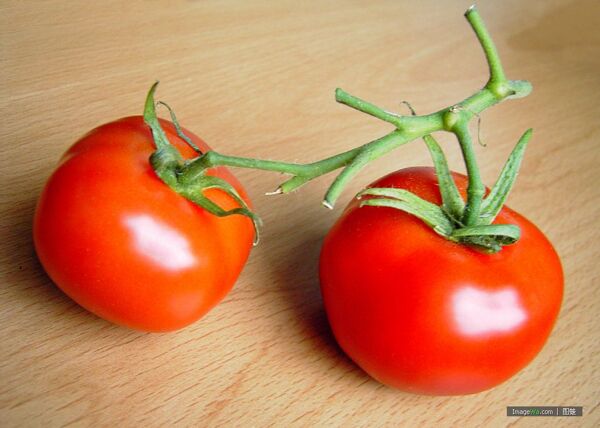 可爱西红柿