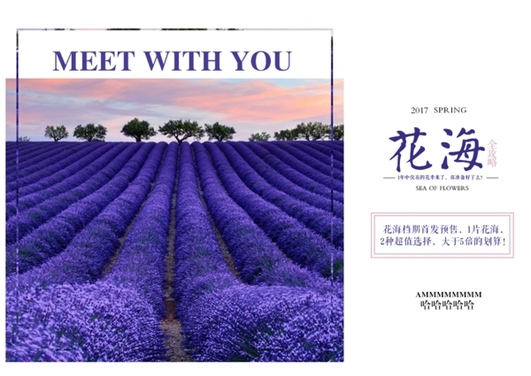花海攻略