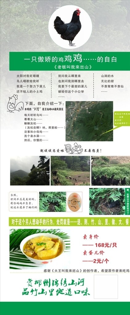 黑雞廣告