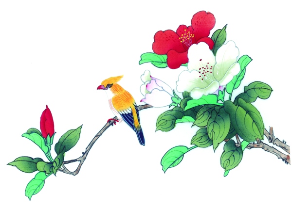 花卉與小鳥圖片