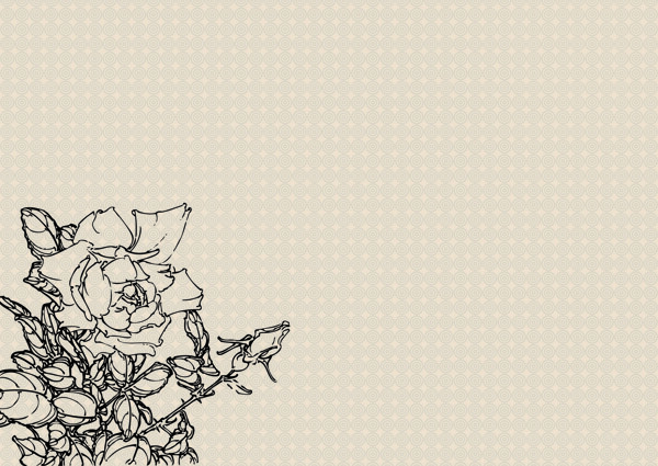 簡約白描花卉圖