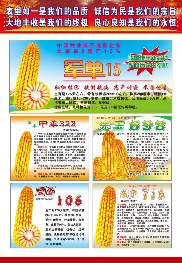 玉米宣傳畫(huà)玉米宣傳頁(yè)圖片
