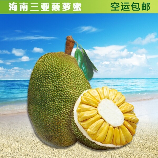 淘寶菠蘿蜜主圖