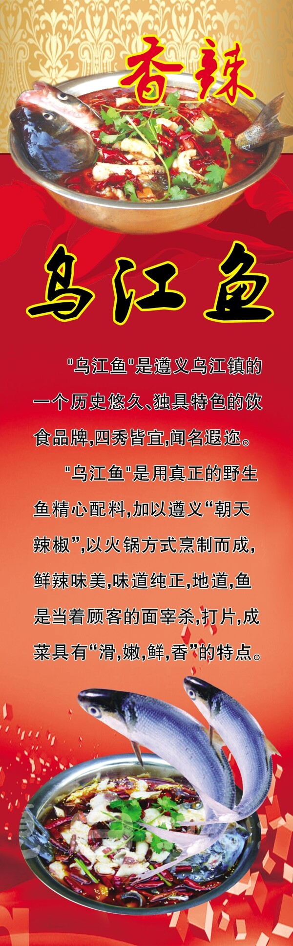 烏江魚圖片