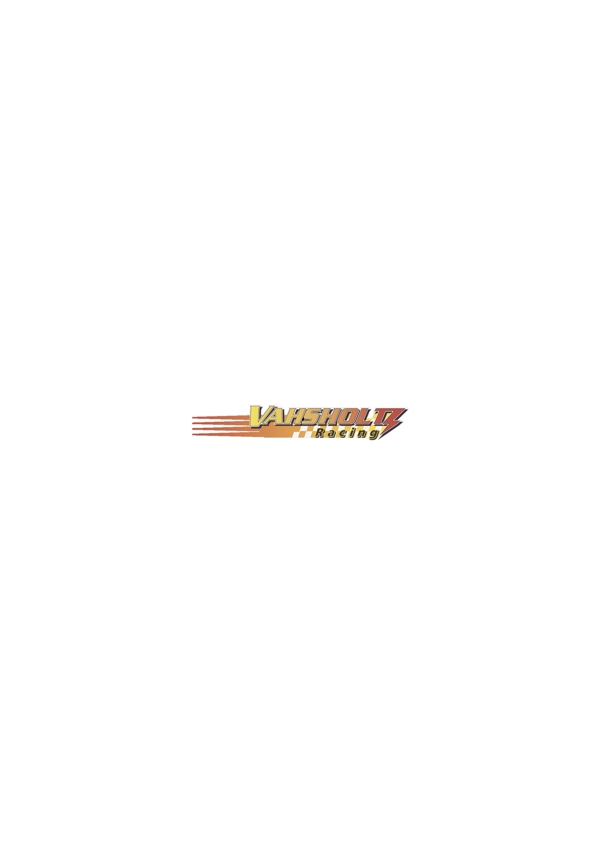 VahsholtzRacinglogo設(shè)計(jì)欣賞VahsholtzRacing體育比賽標(biāo)志下載標(biāo)志設(shè)計(jì)欣賞